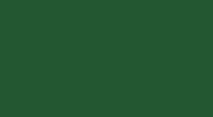 MC Primary Color Green (HEX: #215732)