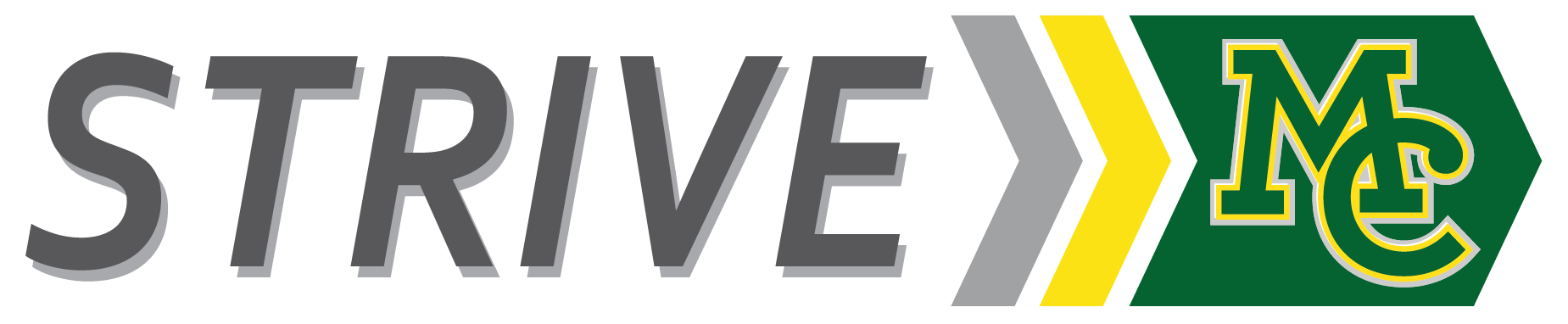 STRIVE Logo
