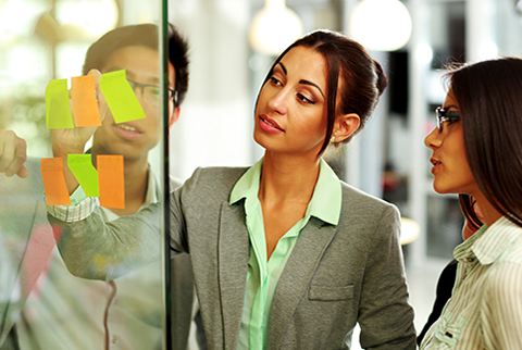 Business Management professionals working at an organization board