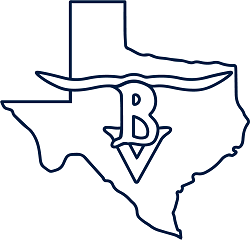 Buena Vista logo