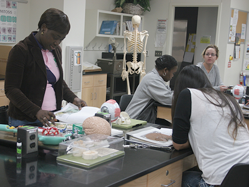 Four students at work in a Biology lab