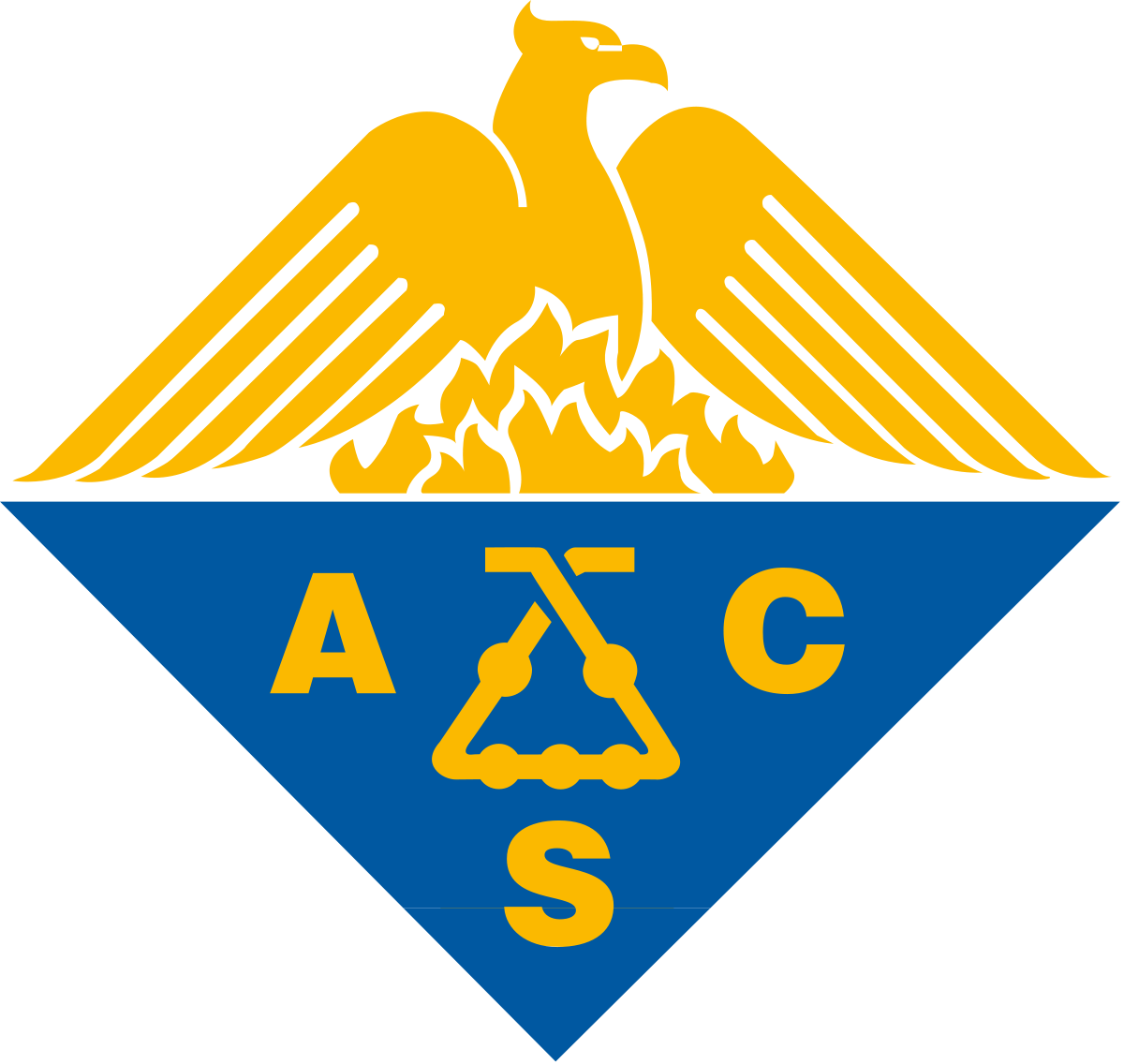 ACS logo