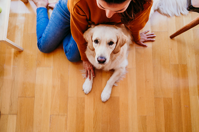 'Paws' for Stress Relief