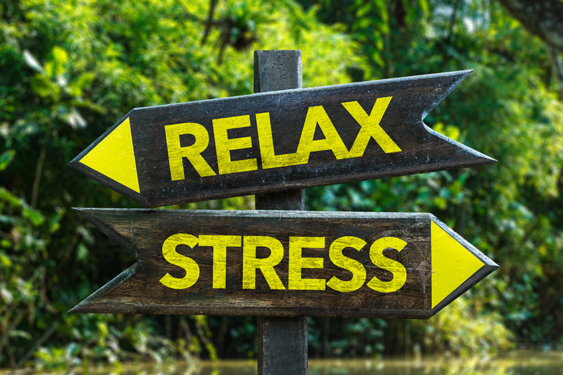 Wellness Wednesday:  Stressed Out???