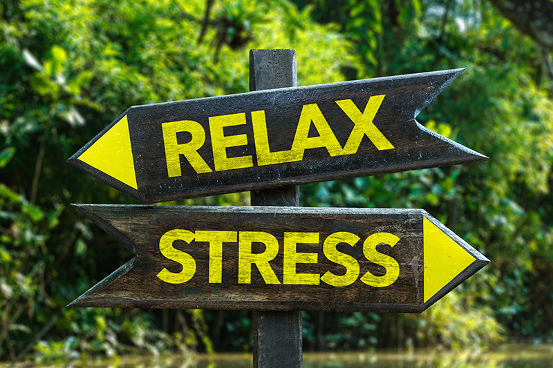 Stress Management Practices:  A Mind-Body Approach