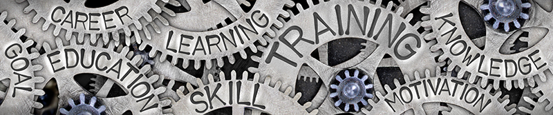 sWheels of workforce