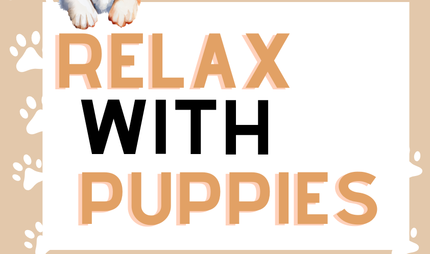 De-Stress Before Finals -- Relax with Puppies