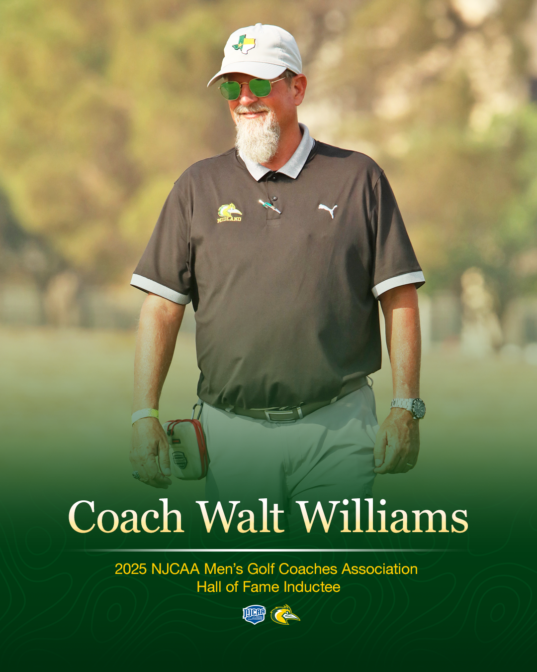 swalt Williams hall of fame poster