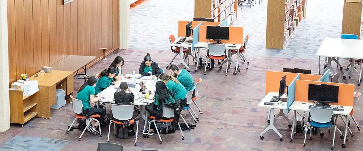 Students studying at Fasken Learning Resource Center - library